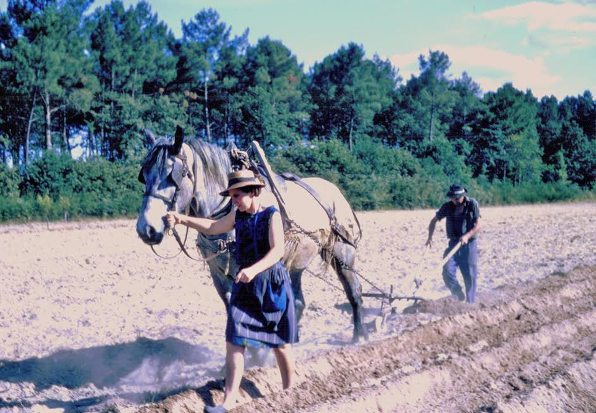 Les chemins de l'émancipation ? Les femmes dans les mondes ruraux aux XIXe et XXe siècles